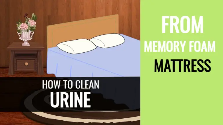 Does Urine Ruin Memory Foam? How To Get Urine Out of Foam Mattress?