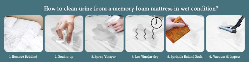 How to clean urine from a memory foam mattress in wet condition? - Step by Step